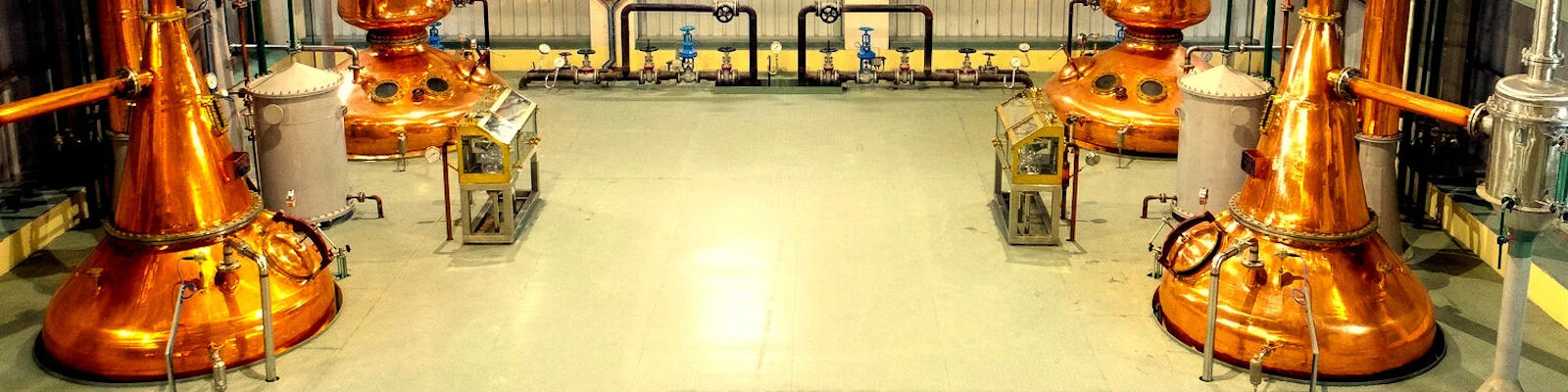 Indian Partly-Malted Barley Whiskey