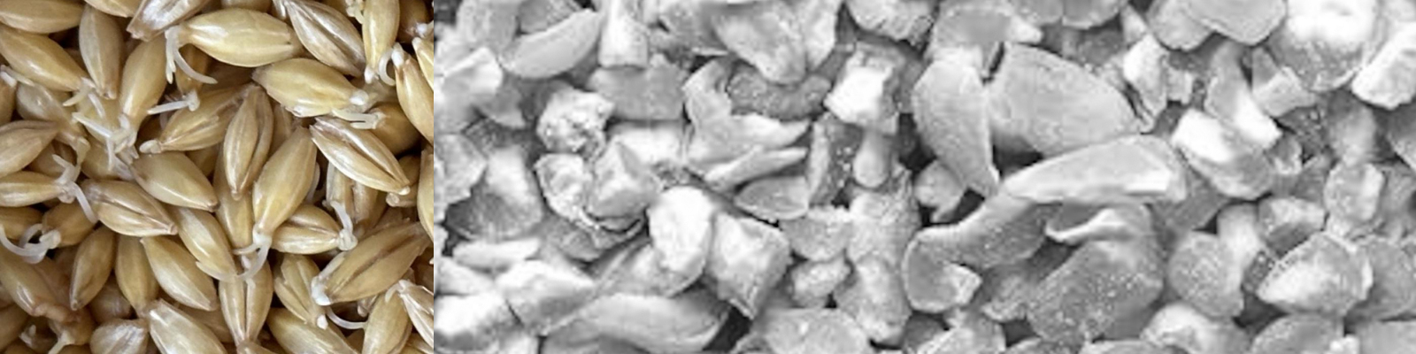 Barley-Whisky-Blended Maize Spirit