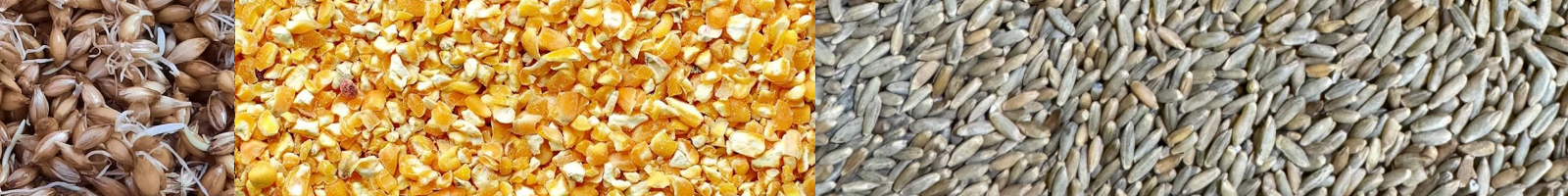 Wild Turkey Rye Mash Bill Grains