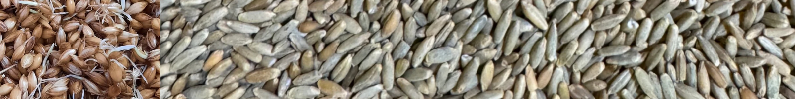 Philadelphia (style) Mash Bill Grains