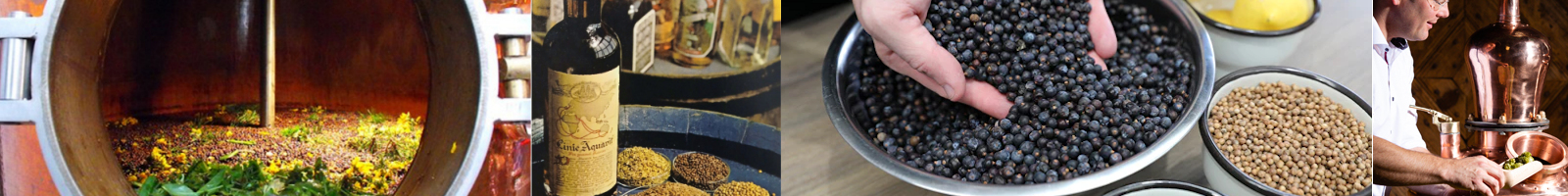 Botnical Geist Spirits