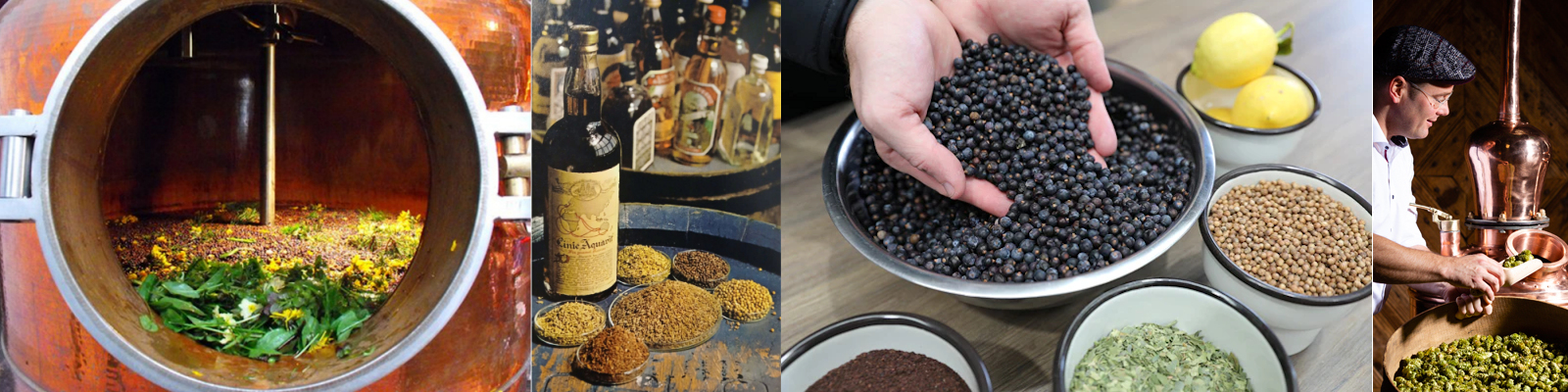 Botanical Geist Spirits